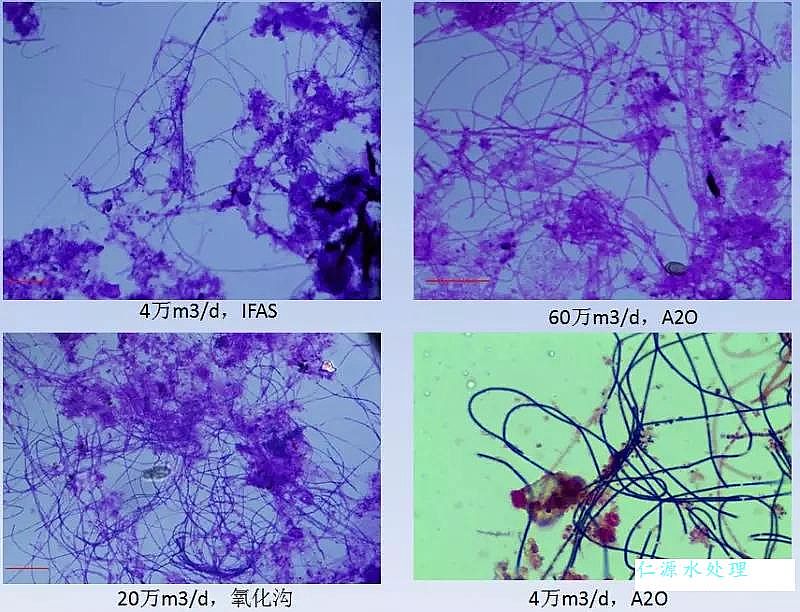 �ۺ��Ȼ��X��x�S���C����ˮ̎������������傀�P�I���}