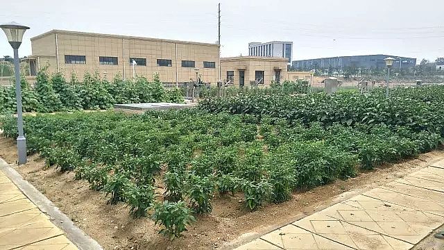 �����V�����a�S�ҡ���@ʽ��ˮ�S