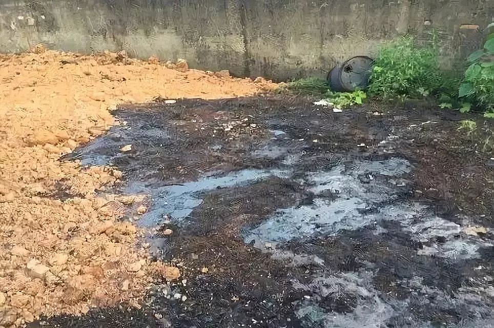 ���F�ۺ��Ȼ��XPAC�S������h�����조���^���������Mչ!