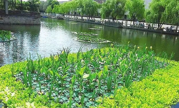 �o��ú�V�����a�S�ҳ��кڳ�ˮ�w����