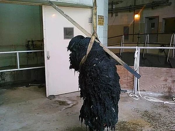 Ҭ������̿���a(ch��n)�S������(gu��)��ˮ̎��Sÿ���Ƴ�1������