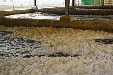 ��x�Ӿ۱�ϩ�����S���P��������Û�����@һƪ�͉���