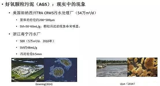 ��ˮ���ۺ��Ȼ��XPAC�S��δ����ˮ̎�����g�İlչ��������