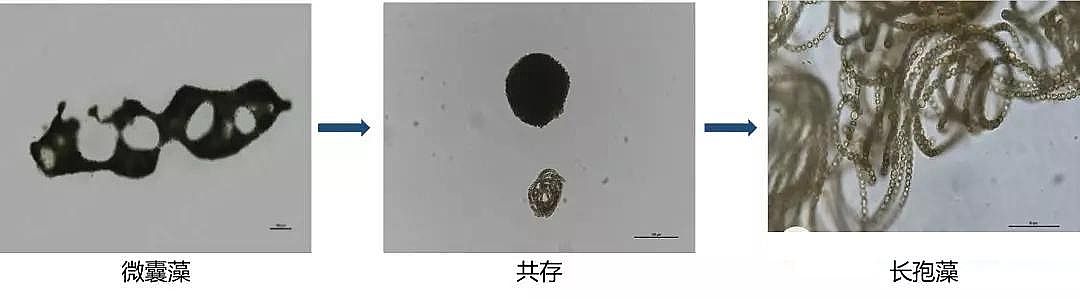 ������s�����ϏS�Һ������I�B(y��ng)����������?߀�ǿص�?