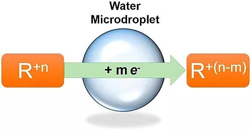 2019�����၆�F�S�����W(xu��)߀�ǿƌW(xu��)?΢�׼�ˮ�ξ��Ǹ�Ч߀ԭ��