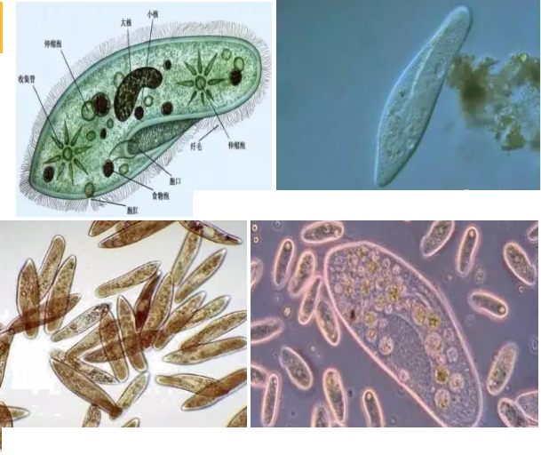 ��(y��u)�|(zh��)�����V�ϏS����ˮ̎��ָʾ��΢�����ȫ!����������