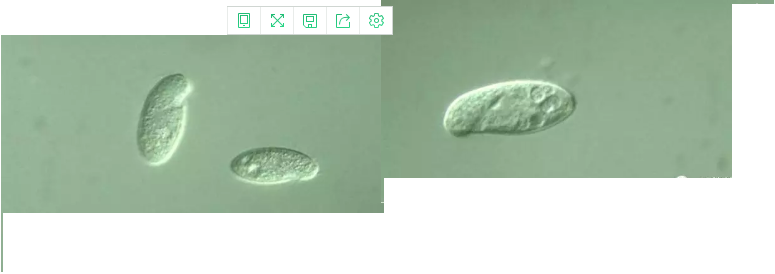 ��(y��u)�|(zh��)�����V�ϏS����ˮ̎��ָʾ��΢�����ȫ!����������