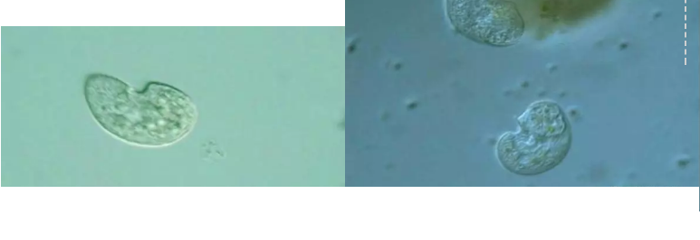 ��(y��u)�|(zh��)�����V�ϏS����ˮ̎��ָʾ��΢�����ȫ!����������