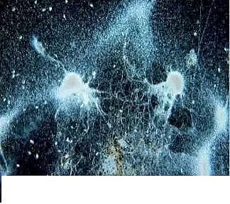 ��(y��u)�|(zh��)�����V�ϏS����ˮ̎��ָʾ��΢�����ȫ!����������