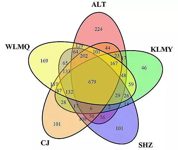 ���ƽY���Ȼ��X���a�S�Ҹɺ�����؅^�����Ϲ�ˇ��������ľ�Ⱥ�Y��