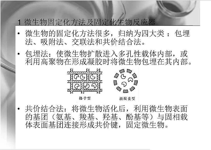 2020�����w�������ϏS��΢����̶����۰����d�w�о�ppt�n��