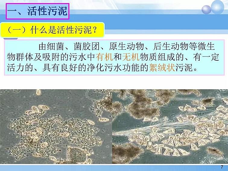 2020��������c���a(ch��n)�S��PPTԔ��������෨ԭ���c��(y��ng)��