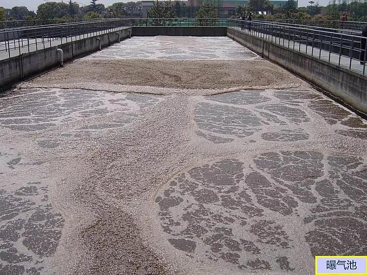 2020��������c���a(ch��n)�S��PPTԔ��������෨ԭ���c��(y��ng)��