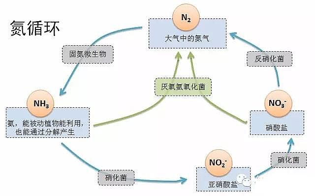 2020����x�Ӿ۱�ϩ�����S�҅�����������������ˮ��̎�팍(sh��)�H��(y��ng)��