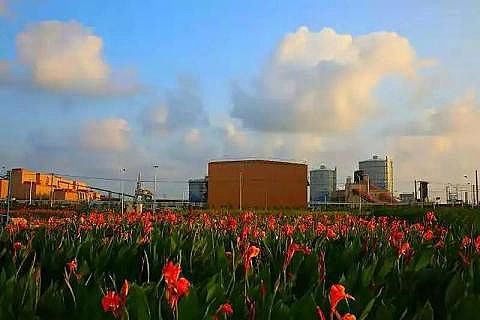 2020��ۺ��Ȼ��FPAFC�S���_��BOOұ���ИI�h��������ģʽ