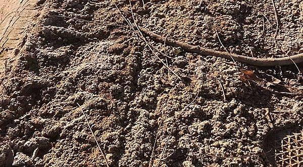 2019�����������V���a(ch��n)�S���v����ɳĮ��Ⱦ�{(di��o)�飺��ұ���I(y��)ǰ������ˮ���