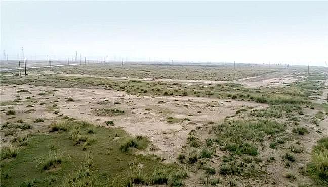 2020��Y(ji��)���Ȼ��X���a(ch��n)�S�����ۿڔ�(sh��)ǧ���lΣ�~p���ɣ��S�ӌ�ӭ���(y��n)�O(ji��n)��