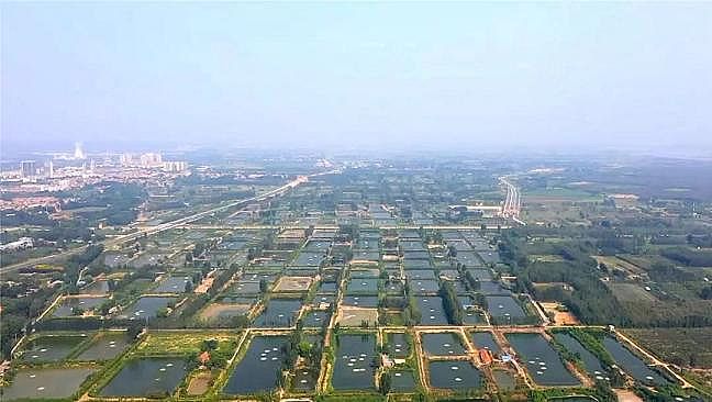 2020��Y(ji��)���Ȼ��X���a(ch��n)�S�����ۿڔ�(sh��)ǧ���lΣ�~p���ɣ��S�ӌ�ӭ���(y��n)�O(ji��n)��