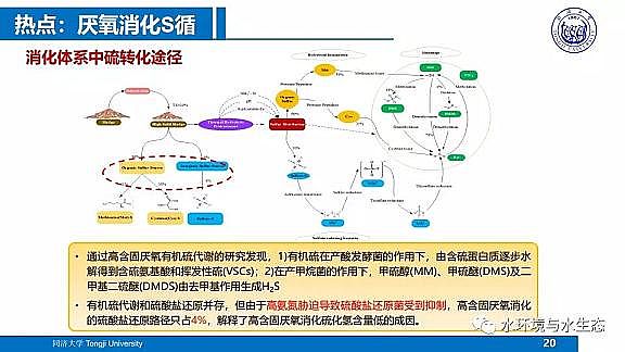 ˮ̎��V�ϏS����ĭ�V��V��EPS������ˮ�S����̎�ù�ˇ���g·��