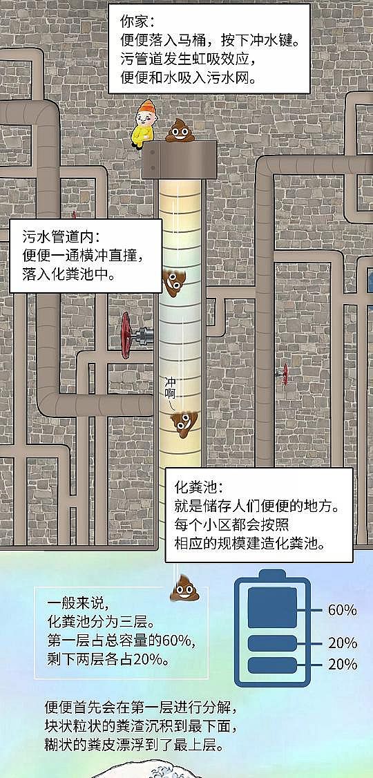 2020�귴�_ϴ�Vñ�S��ϵ�y�v��S�����ˮ̎�� �҂�����ʺ��ȥ����?