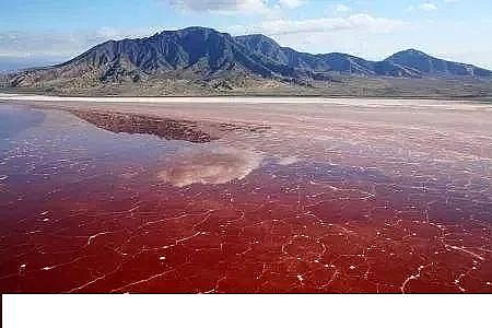 ˮ̎���������w�����������a�S������ˮ�ա���݋ˮ�c���׃��