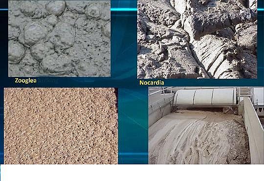 ��Դˮ̎��ˎ����������ǏS����ˮ�S������ĭ�Ŀ��Ƶ�̽ӑ