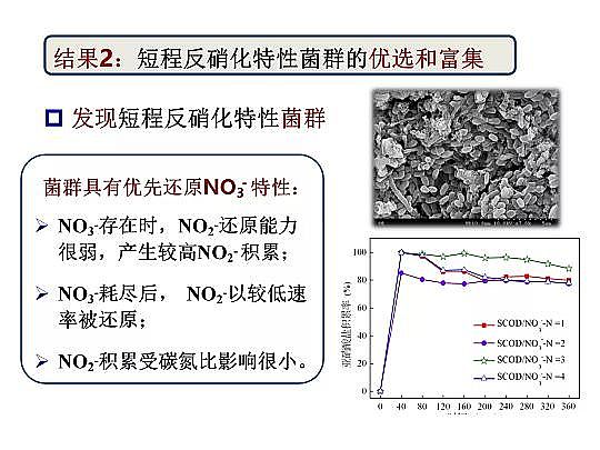 2020����w���ׄ��S����ˮÓ�������о������M(j��n)չ