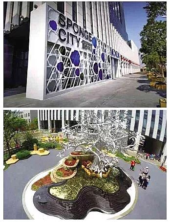 �����ɽ�r�V��2-4cm���a�S���Ϻ���ϵ�y��ȫ�����M���d���н��O�wϵ�c���g�о�