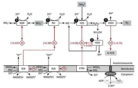 ��Ҏ(gu��)���F̼΢늽��������a(ch��n)�S�҅���������һ���P(gu��n)�ڕr�g�����ĵĹ���- ��43��ǰՄ��