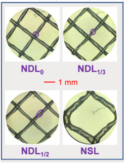 ��Ҏ(gu��)���Z��ʯ�V�����a(ch��n)�S��׃���W(w��ng)�z�M(j��n)ˮ���W(w��ng)�׺�������(du��)ĤԪ����ˮ���W(xu��)�Ϳ���Ⱦ���ܵ�Ӱ�̽��