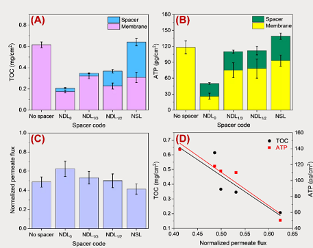 ��Ҏ(gu��)���Z��ʯ�V�����a(ch��n)�S��׃���W(w��ng)�z�M(j��n)ˮ���W(w��ng)�׺�������(du��)ĤԪ����ˮ���W(xu��)�Ϳ���Ⱦ���ܵ�Ӱ�̽��
