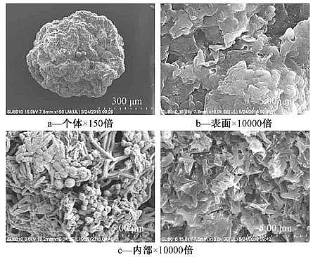 ��Ҏ(gu��)��۠����̿���a(ch��n)�S�Һ����w������+Ĥ���ﷴ����̎������������ˮ�������γ�����Ⱦ��ȥ��Ч��