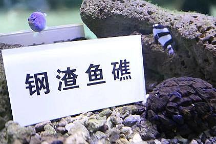 ����5A���ӺY�S�ҡ�����������F�S�����Uˮ���ŷ���������B(y��ng)�~