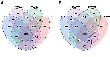 �h(hu��n)����ˮñ���a(ch��n)�S�ҷ����(q��)�����B͸̎��퓎r���_�ɏUˮ�����ڹ��