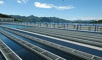 ��Ч�Ҹ����������ϏS����x��������һˮ�S��