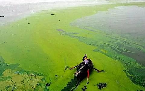 ����ˮ̎��ˎ����(f��)��̼Դ���a(ch��n)�S��ʲô��ˮ�w���I�B(y��ng)��?Σ������Щ?��η���?