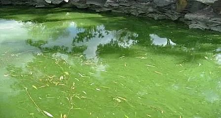 ����ˮ̎��ˎ����(f��)��̼Դ���a(ch��n)�S��ʲô��ˮ�w���I�B(y��ng)��?Σ������Щ?��η���?