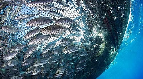 �¿�Aʽ�Ȼ��X�S���P��ˮ�a�Bֳ�I�Uˮ��̎��