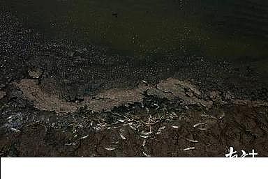 �¿�P��w�S�����^���a(ch��n)�S���|Ŀ�@�ģ�20�����r�������B(y��ng)ֳ��ˮֱ�Ŵ󺣣��y��׃�ڞ�!؟(z��)�����l?