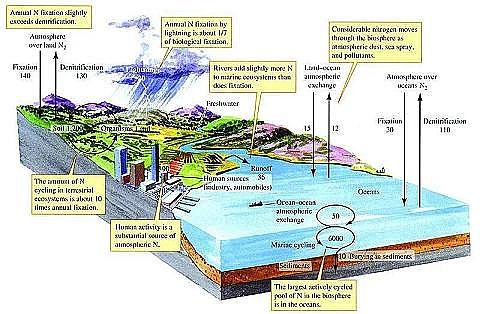 ��Ʒ�|(zh��)��ʯ�V�����a(ch��n)�S����ˮ�YԴ���Ďׂ�����Ԕ�⣺�׻��ա���ˮ��Դ��������ˮ