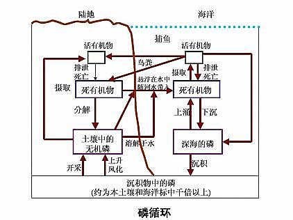 ��Ʒ�|(zh��)��ʯ�V�����a(ch��n)�S����ˮ�YԴ���Ďׂ�����Ԕ�⣺�׻�������ˮ��Դ��������ˮ