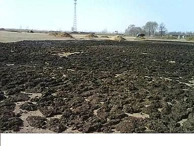 ��Ҏ(gu��)�����ʯ�V�����a(ch��n)�S��ˮ�a(ch��n)�B(y��ng)ֳ�I(y��)�����لt���_(d��)��!�{(di��o)ˮ�졢����졢����졢���׸ߣ�������ÿ족!