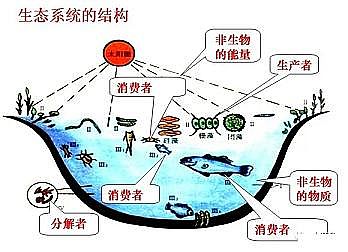 ��Ҏ(gu��)�����ʯ�V�����a(ch��n)�S��ˮ�a(ch��n)�B(y��ng)ֳ�I(y��)�����لt���_(d��)��!�{(di��o)ˮ�졢����졢����졢���׸ߣ�������ÿ족!