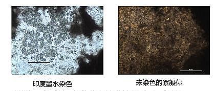 �h���۠����̿�S����ˮ�S����������Û�ļ��g����