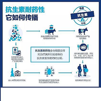 ���w��������Ƭ���a�S���¹����g�^���������ܕ����ٳ��������Ă���