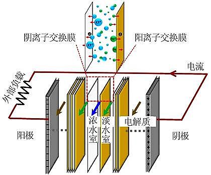 2021����������X��V�ϏS�ҡ��C��������늝B����ˇ�ļ��g�lչ�c����