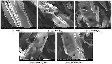 2021�����̿�V�σr(ji��)����A���Ԍ�(du��)����̿����Cr(��)���ܵ�Ӱ�