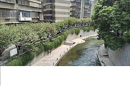 ��Ʒ�|��������������MBBR���a�S�����Mȫ����������ȫ��ʽˮ�S�����F�t����ˮ�S