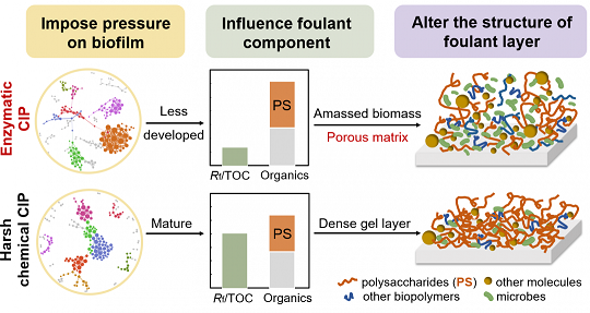 ���xľ�~(y��)ʯ�V�����a(ch��n)�S(ch��ng)��øϴ�ɾ����ɶ������l(f��)�ķ��B͸Ĥ����(f��)��Ⱦ��(w��n)�}