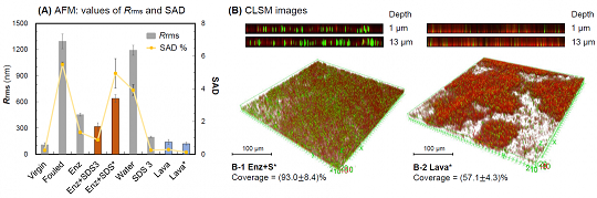 ���xľ�~(y��)ʯ�V�����a(ch��n)�S(ch��ng)��øϴ�ɾ����ɶ������l(f��)�ķ��B͸Ĥ����(f��)��Ⱦ��(w��n)�}